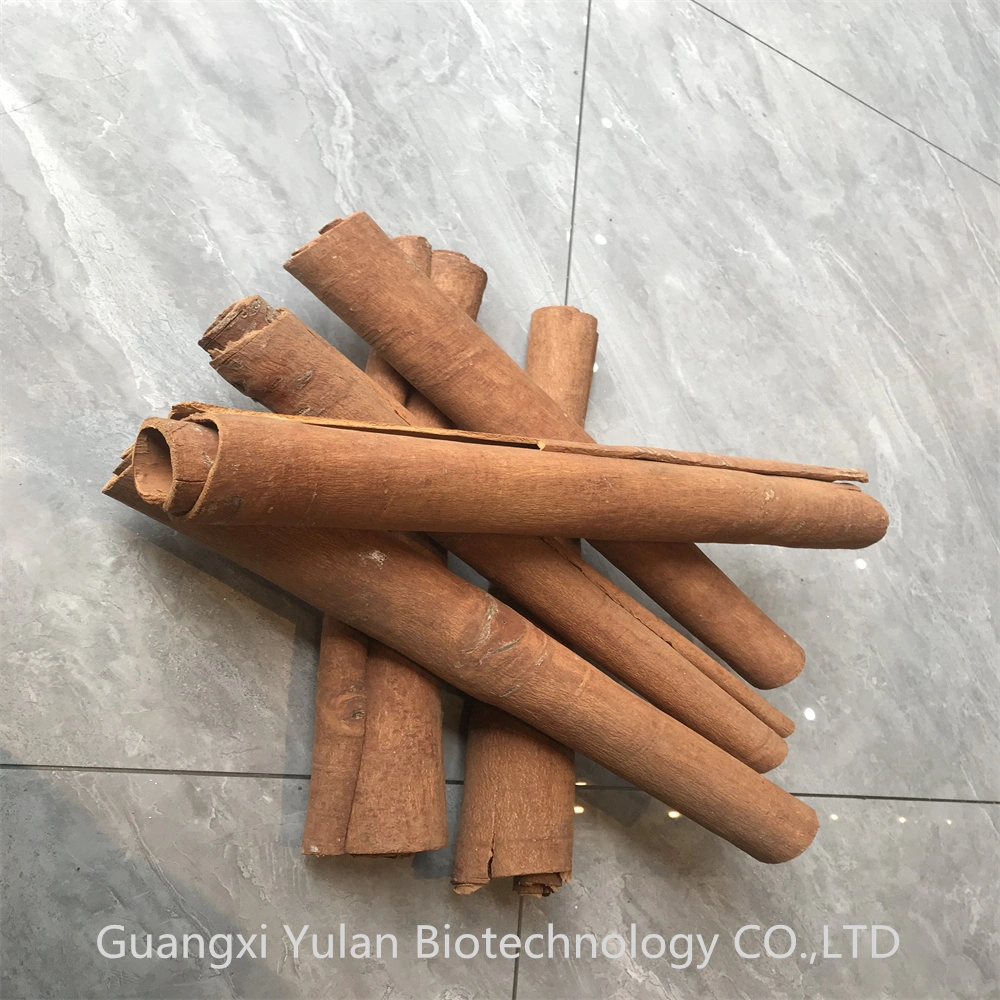 Plants Wholesale Cinnamon Cassia Bark Cinnamon Fragrance Cassia Tube